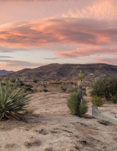 A desert landscape at sunset with pink-hued clouds above and a modern house in the distance.